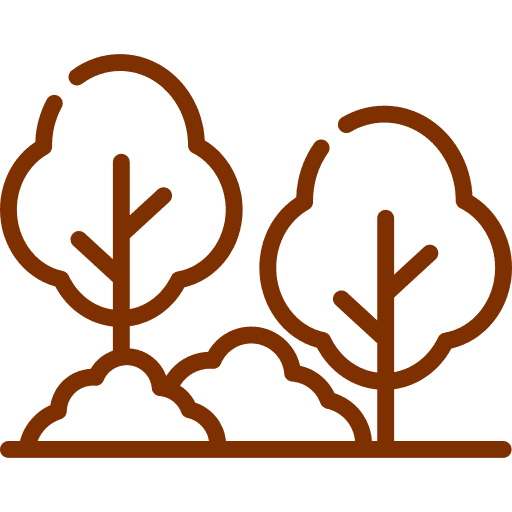 Landscaped Garden
